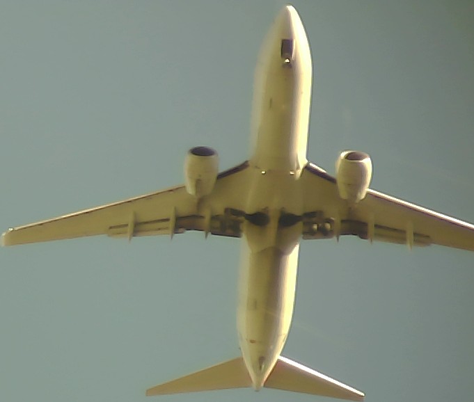 Airplane Picture