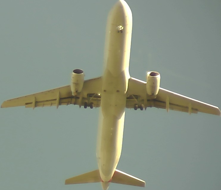 Airplane Picture