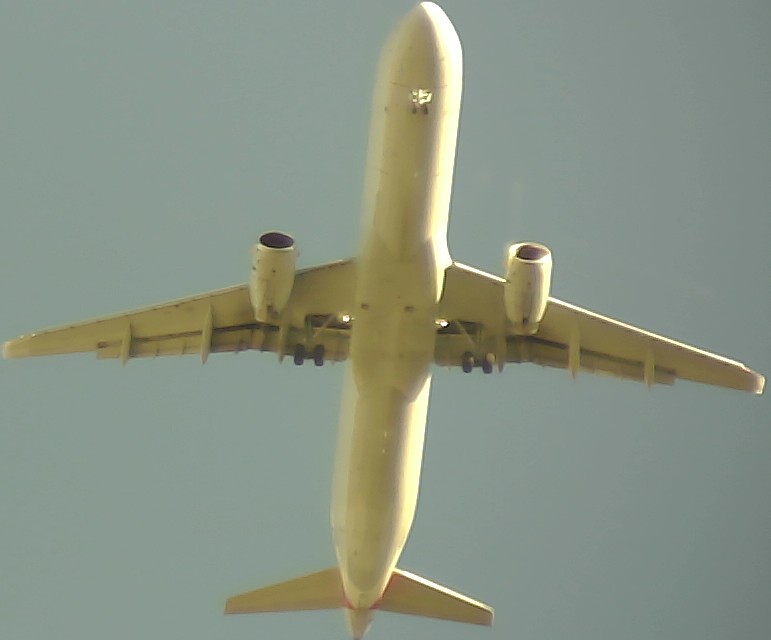 Airplane Picture