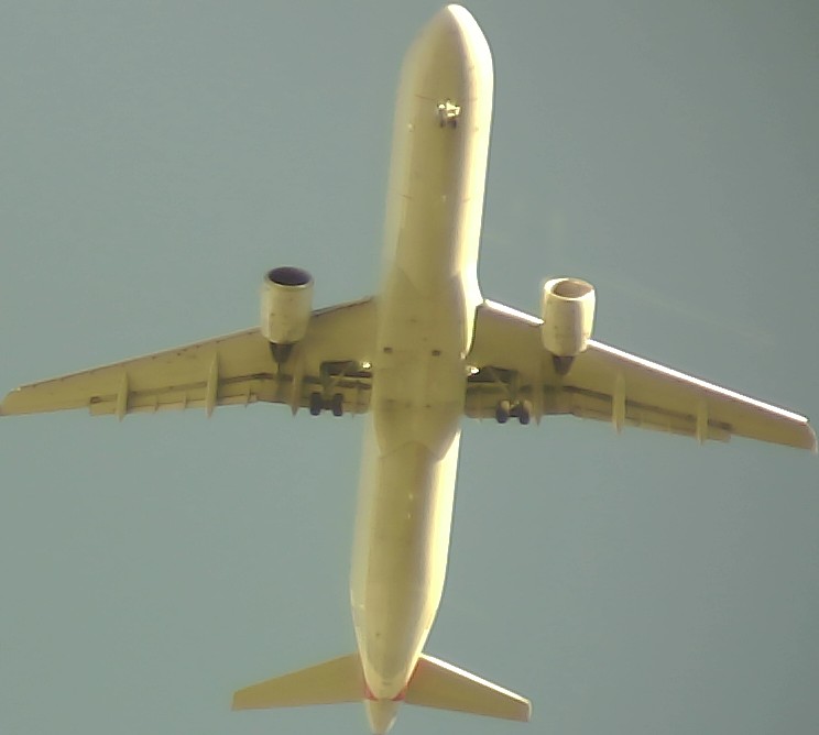 Airplane Picture