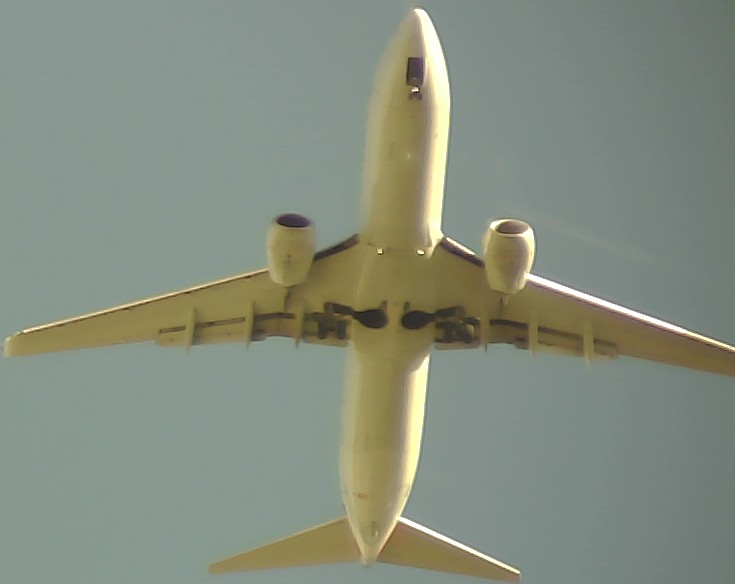 Airplane Picture