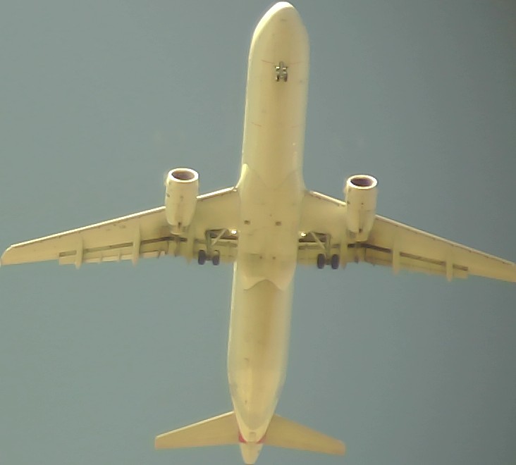 Airplane Picture