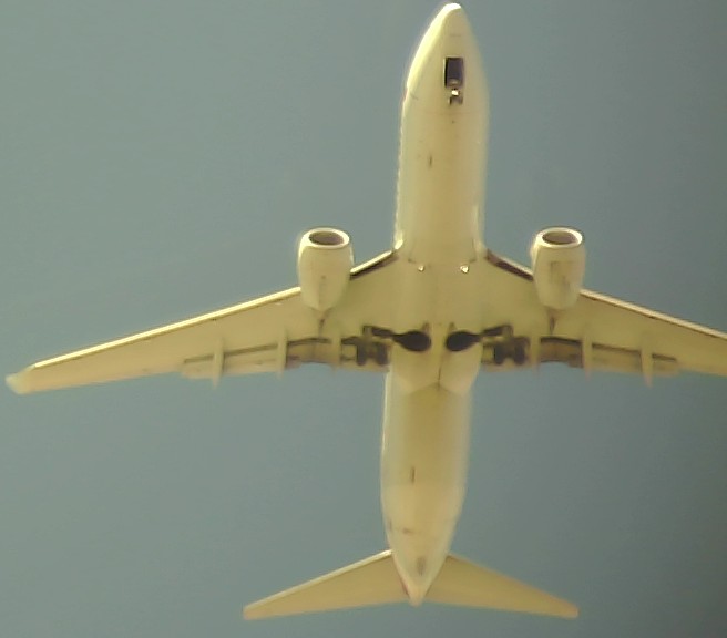 Airplane Picture