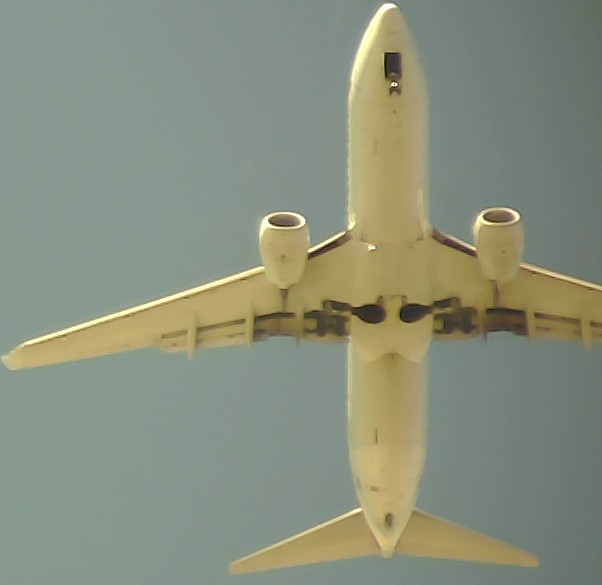 Airplane Picture
