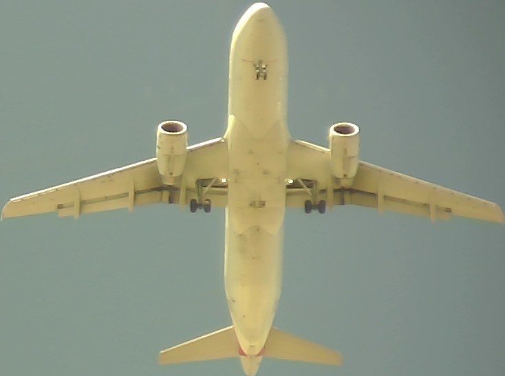 Airplane Picture