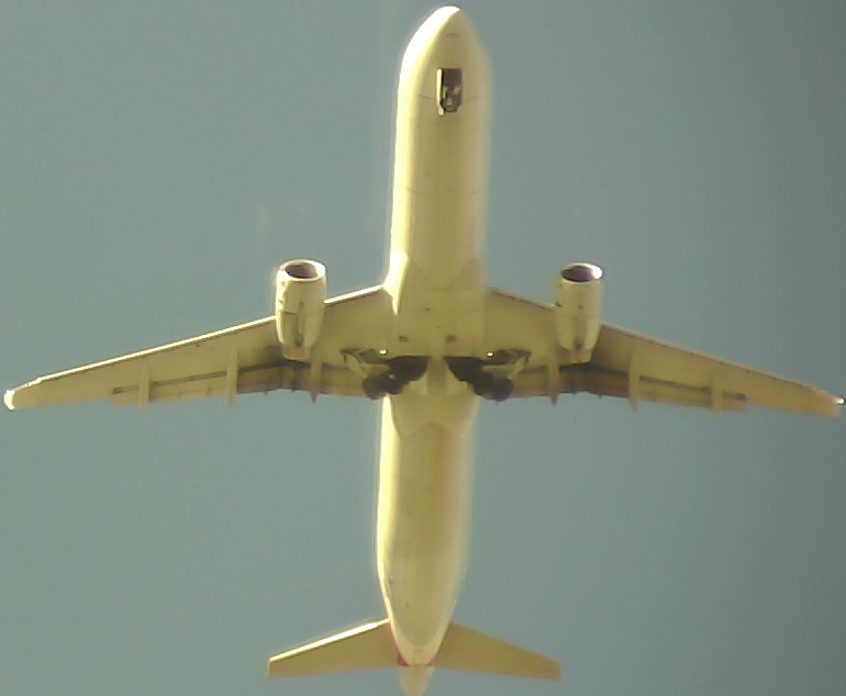Airplane Picture