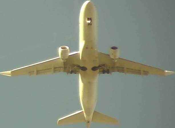 Airplane Picture