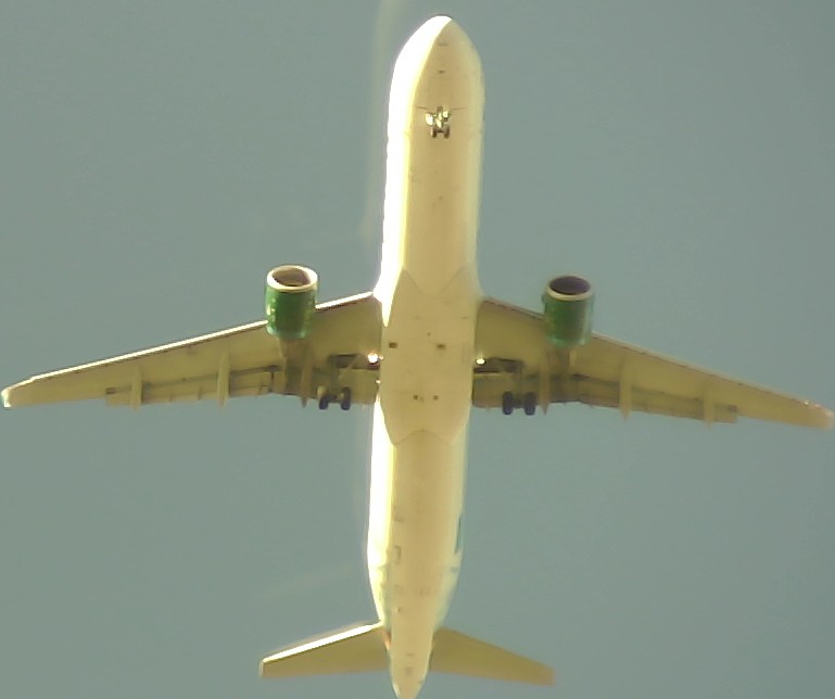 Airplane Picture