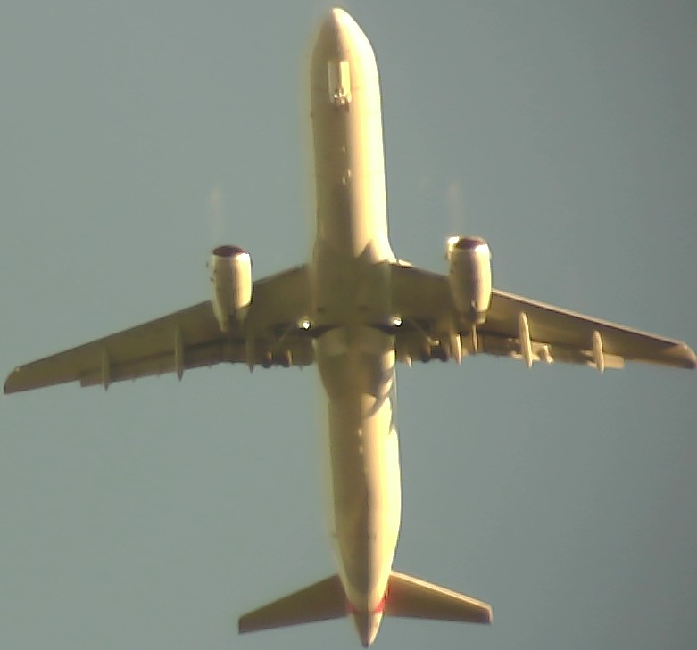 Airplane Picture