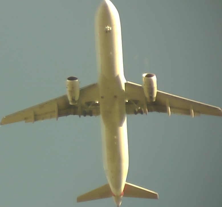 Airplane Picture