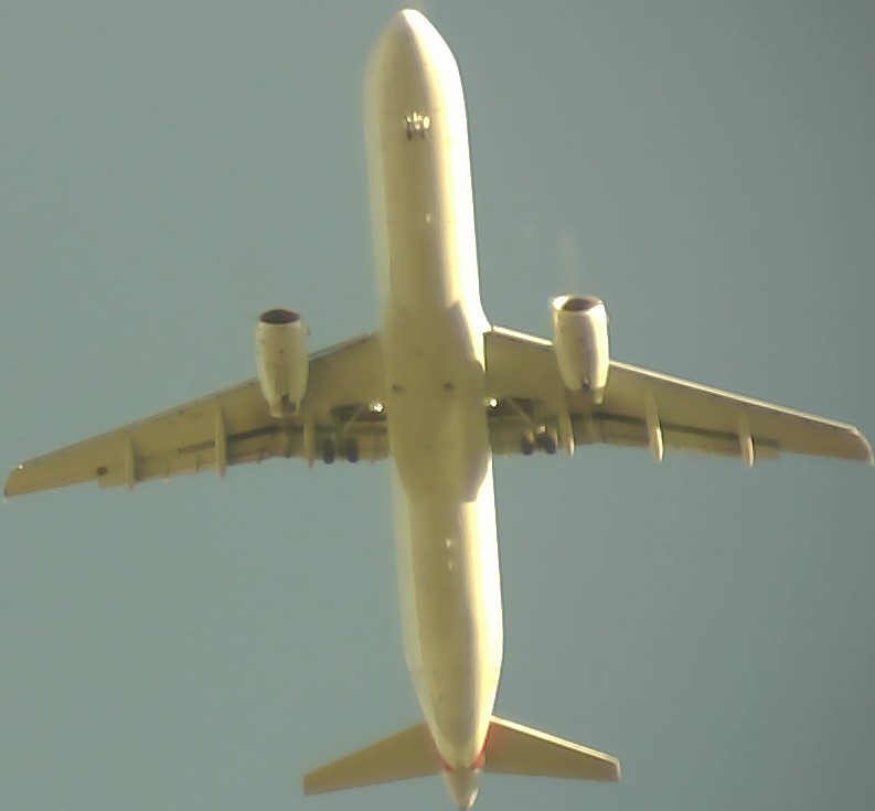 Airplane Picture