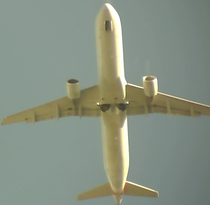 Airplane Picture