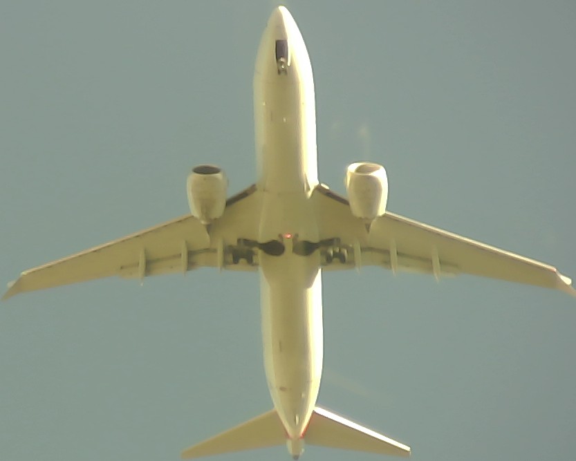 Airplane Picture
