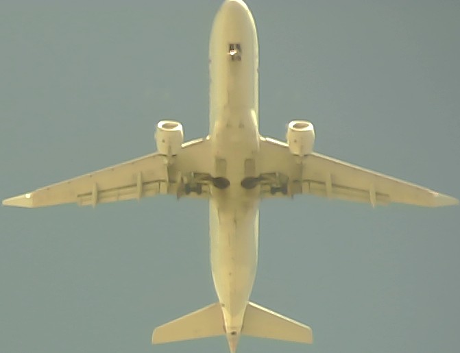Airplane Picture