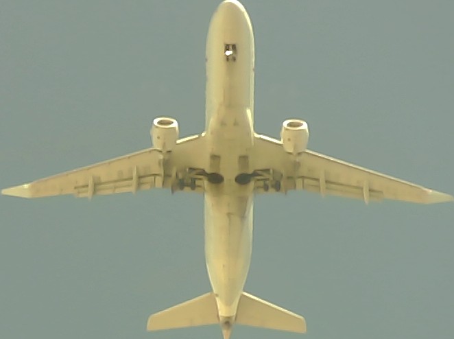 Airplane Picture