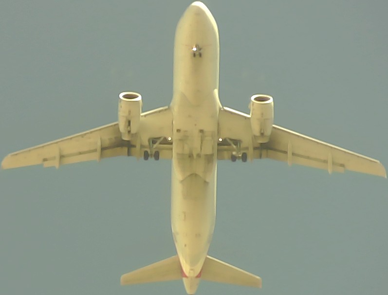 Airplane Picture
