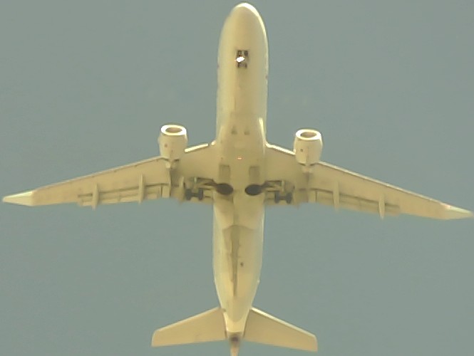 Airplane Picture