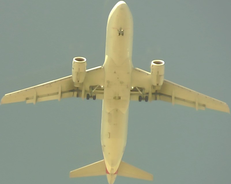 Airplane Picture