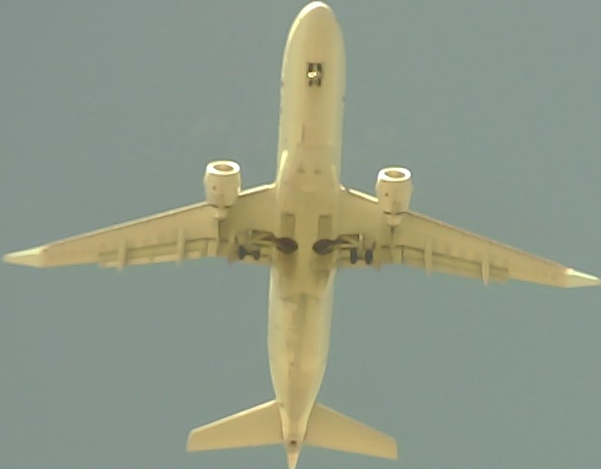 Airplane Picture