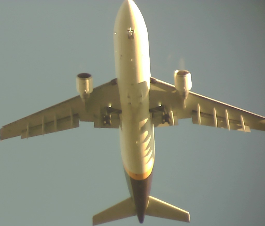 Airplane Picture