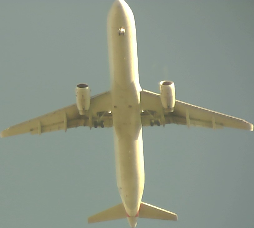 Airplane Picture