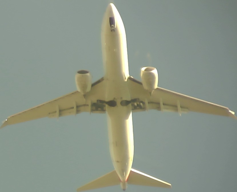 Airplane Picture