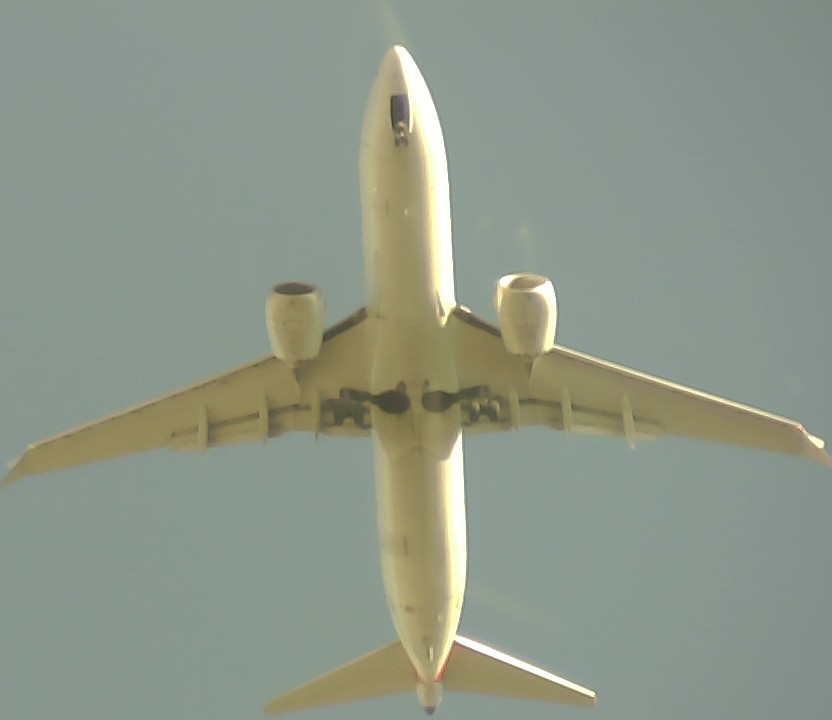 Airplane Picture