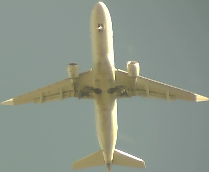 Airplane Picture