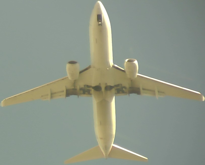 Airplane Picture