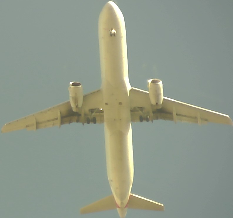 Airplane Picture