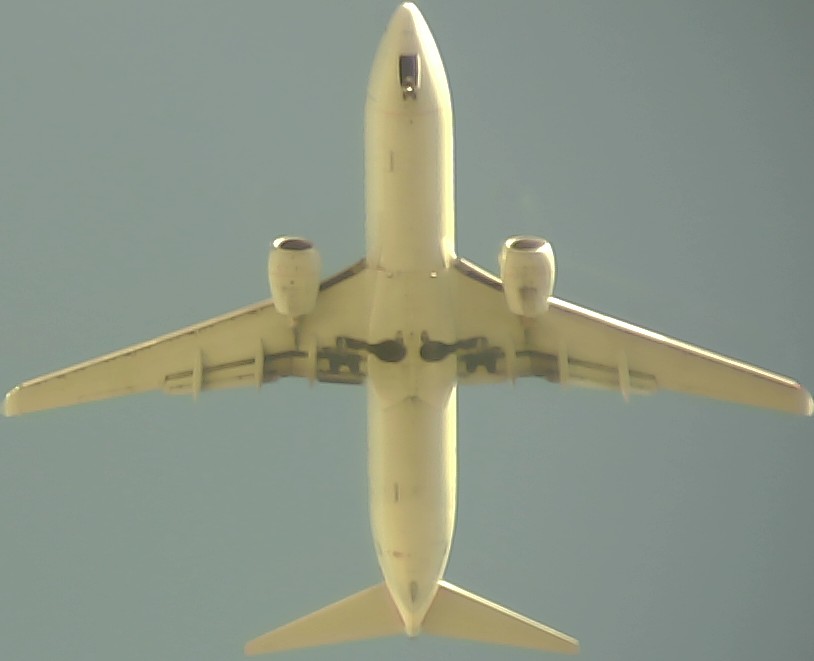 Airplane Picture