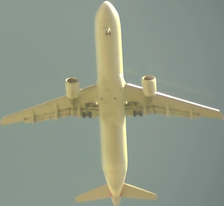 Airplane Picture