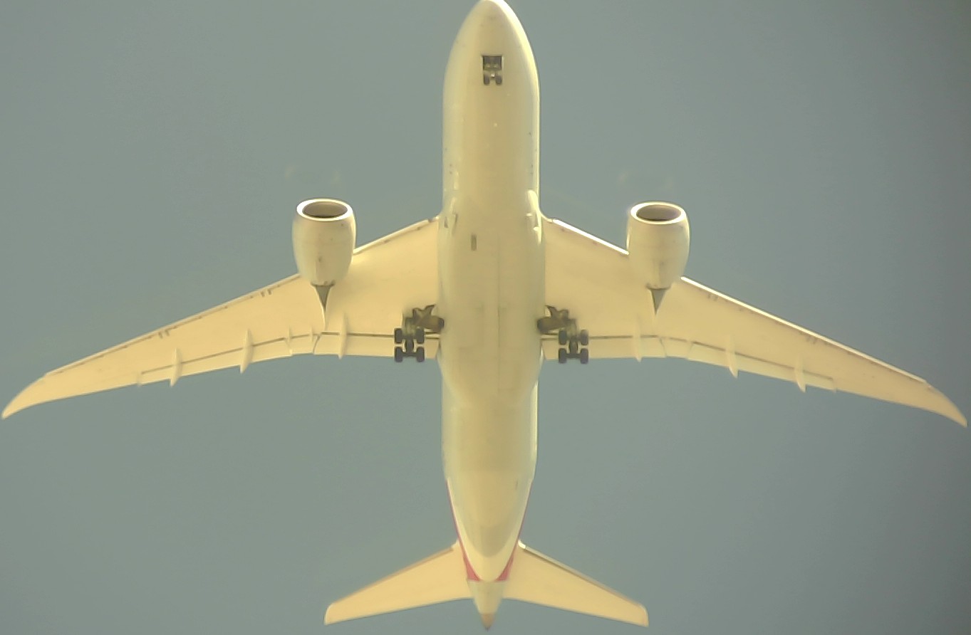Airplane Picture