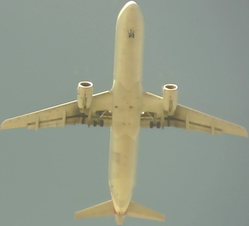 Airplane Picture