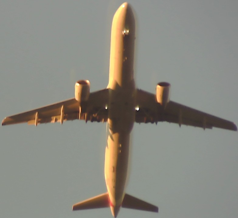 Airplane Picture