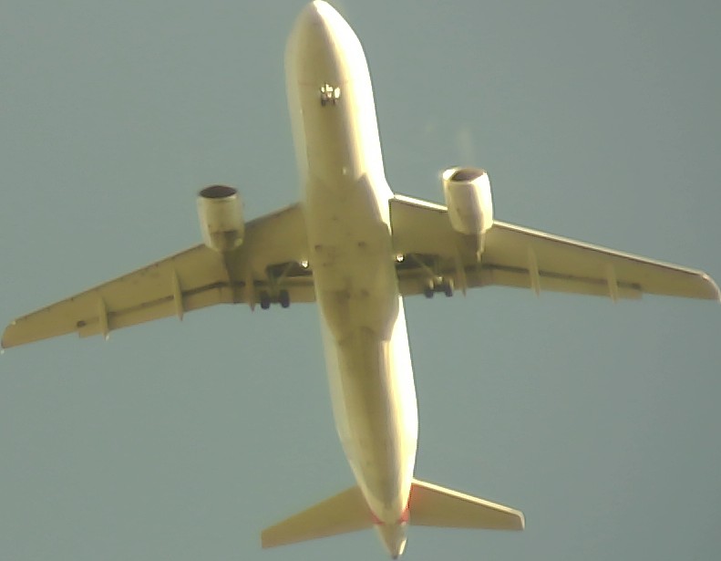Airplane Picture