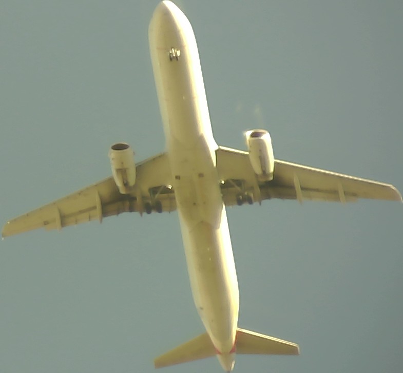Airplane Picture