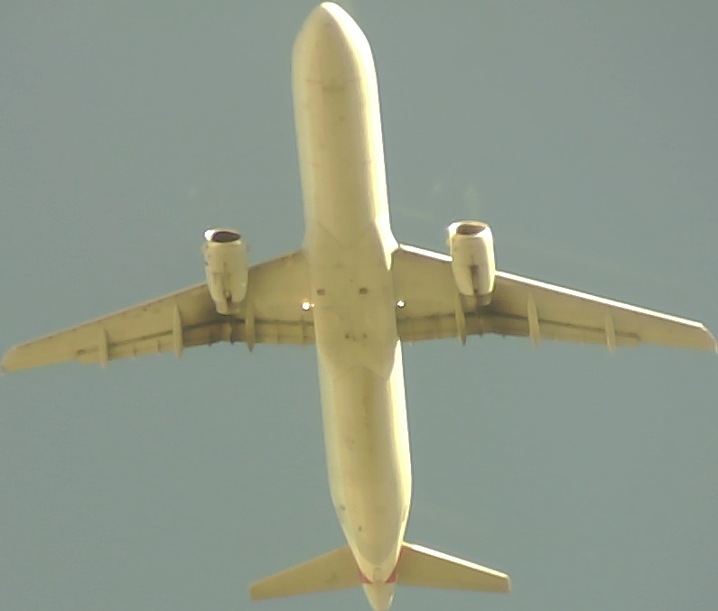 Airplane Picture