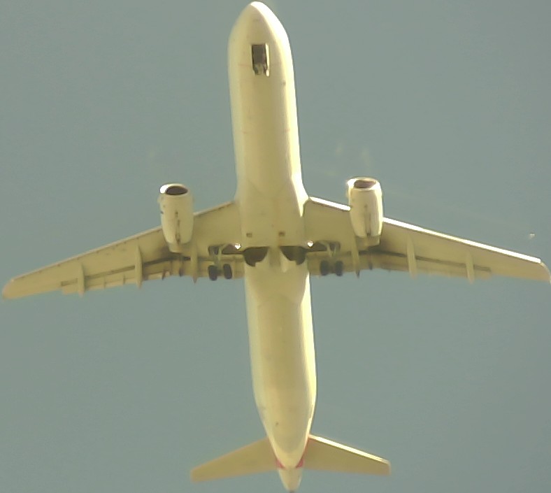 Airplane Picture