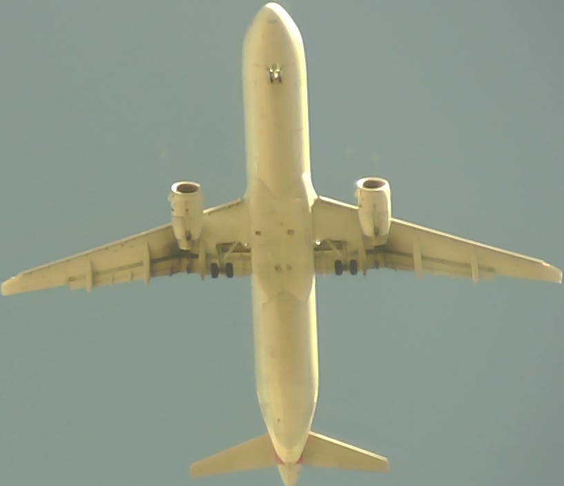 Airplane Picture
