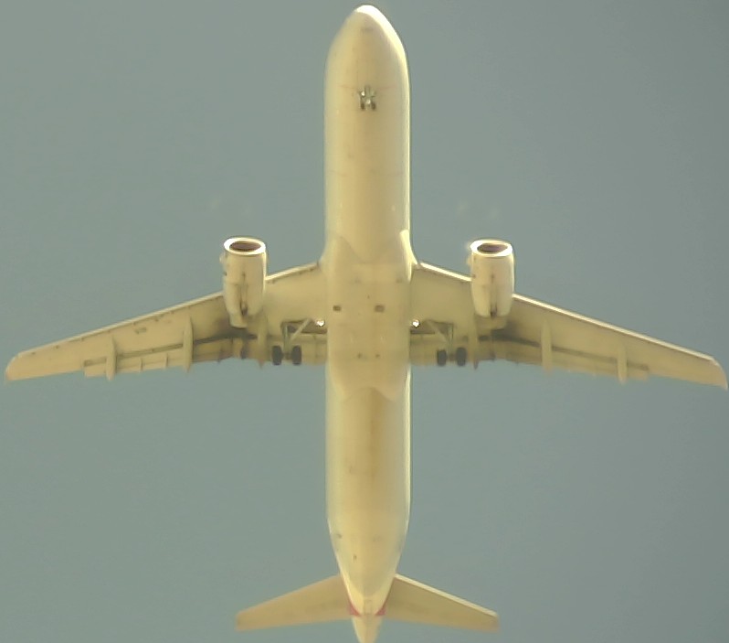 Airplane Picture