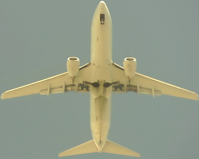 Airplane Picture