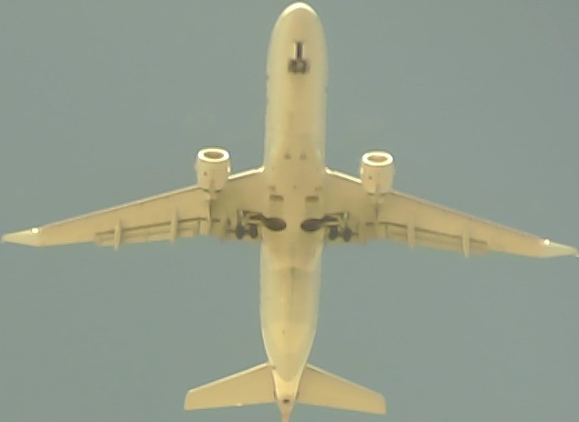 Airplane Picture