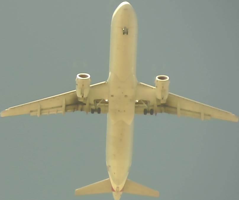 Airplane Picture