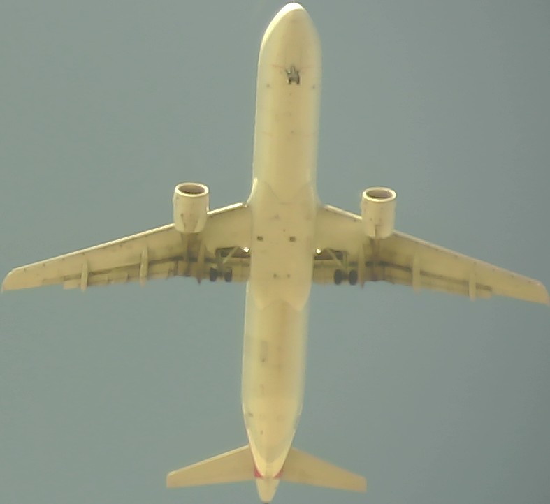 Airplane Picture