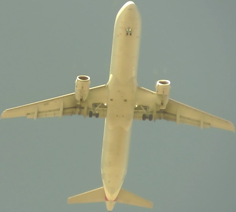 Airplane Picture