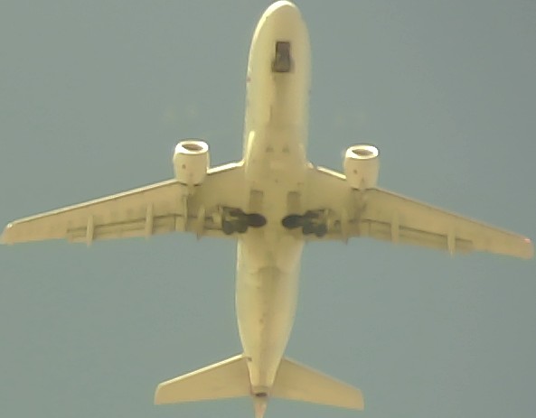 Airplane Picture