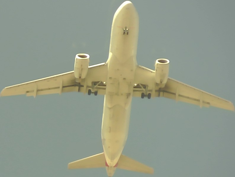Airplane Picture