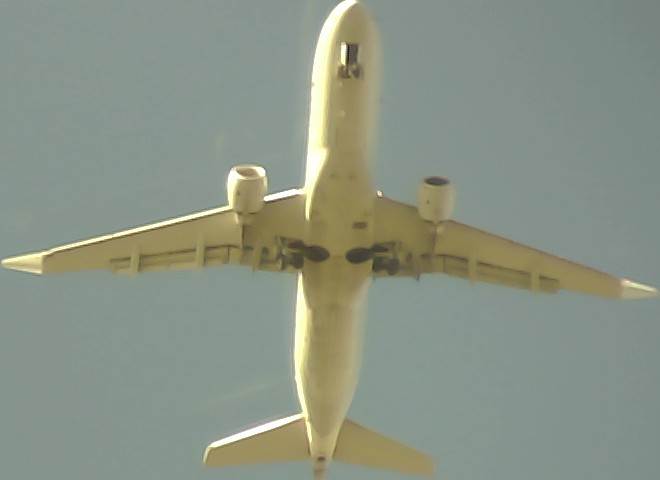 Airplane Picture