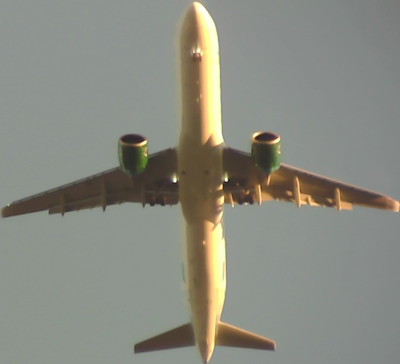 Airplane Picture